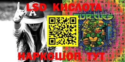 индика Будённовск