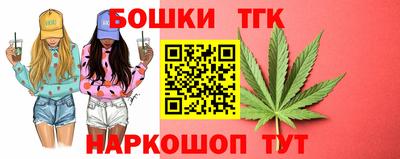 индика Будённовск
