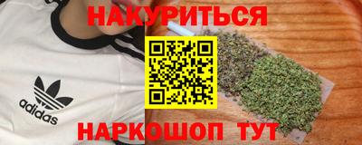 индика Будённовск