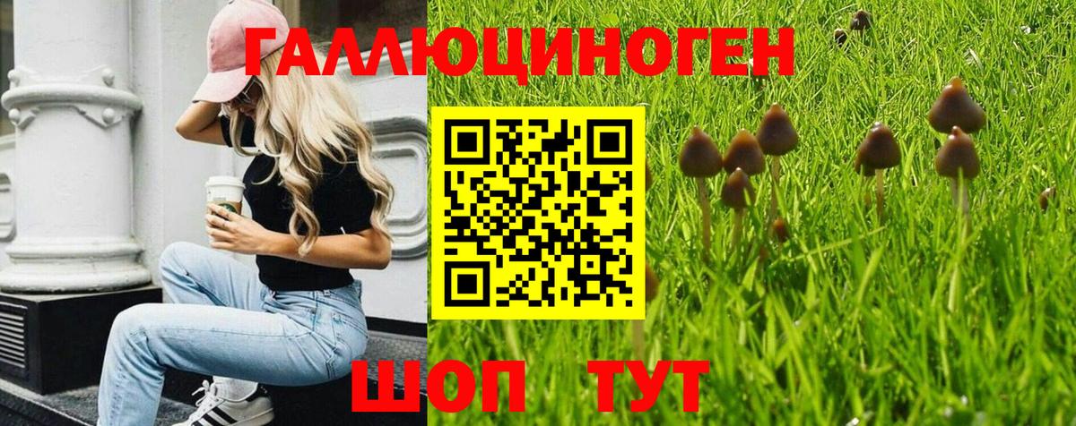 Псилоцибиновые грибы GOLDEN TEACHER Заинск